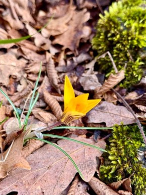 ���� ����: ������� � �������� ����� � ����� �������