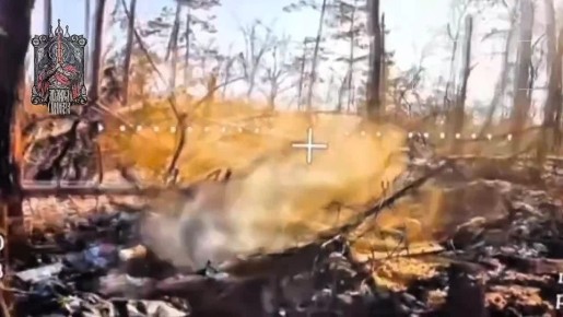 ����������� �����������.. ������ �������� ������� �� ����������� ������ ����������