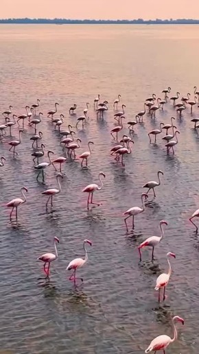 �������� ��� ��������, ������!