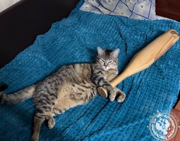 Два майора: Рубрика «Будни солдата»