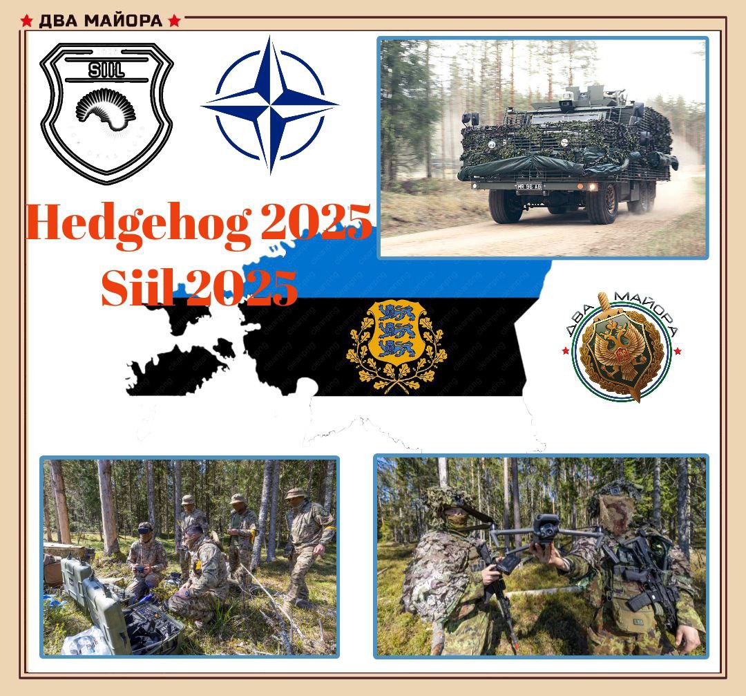 Два майора: НАТО напрямую перенимает опыт военных действий против России