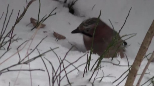 ���������� ����� ����������� � ����� �������