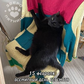 ������� ����� ������ ��������, � � ��� ��� ����������� ����������