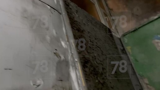 ���� ��� ������ ��� ��������: ������ ���� �� �������� ����� ������������ �� ������ ������� � ����� � ��������