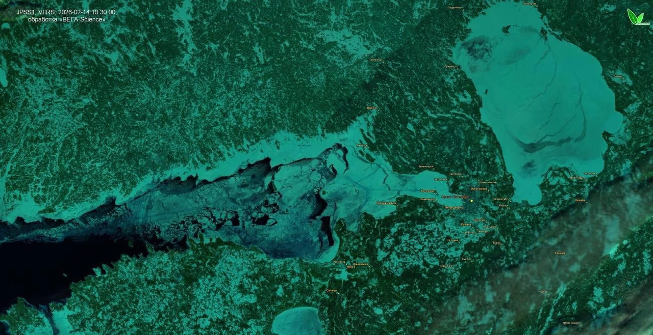 Финский залив сковало льдом — такого не случалось больше 10 лет