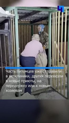 В приюте «Островок Надежды» сменили руководство после проверок и жалоб