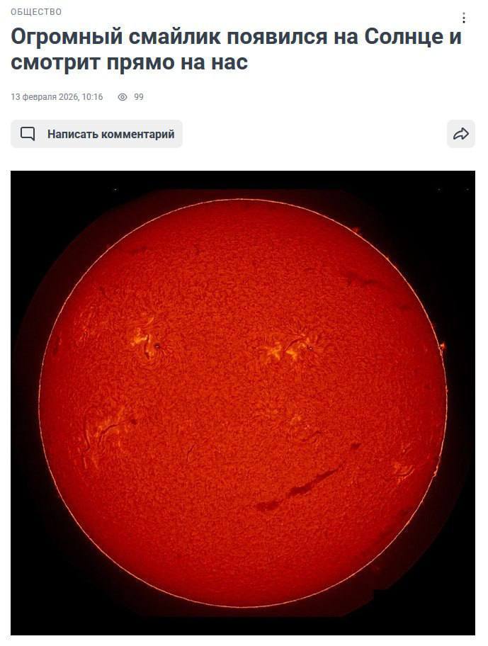 Дефицит капибар в Сестрорецке смотрит на нас: это не к добру Дефицит капибар в Сестрорецке смотрит на нас: это не к добру