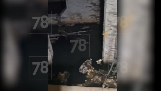 ���������� ���� ����: ������ ���� � ������� ���������� �� ������ ������� �� �������