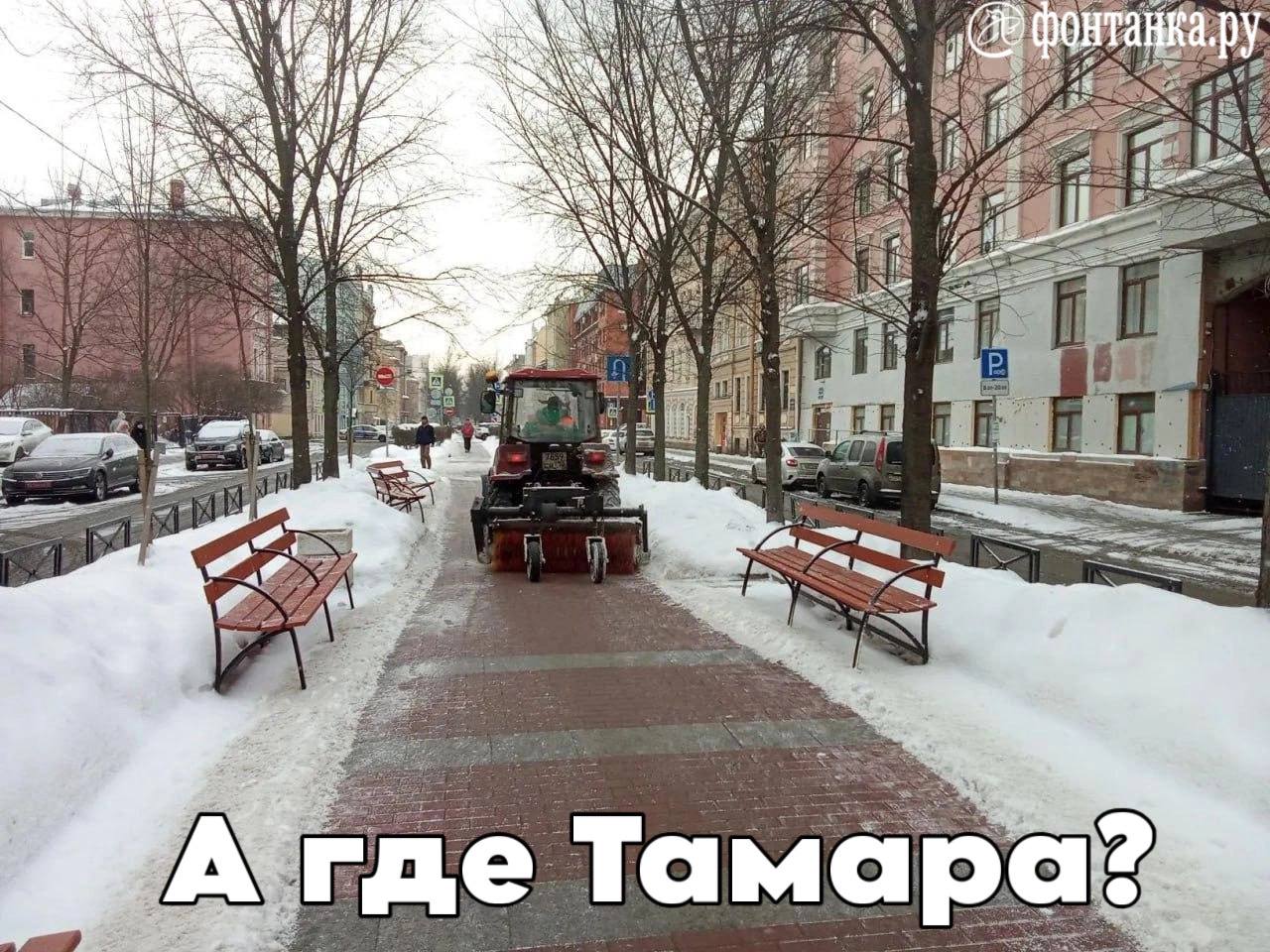 Тамаропада не случилось. За семь дней снежный покров в Петербурге увеличился на 14 см — дорожники ждали большего