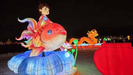 � ���������� ��������� � ����������� ���������� ������ ����