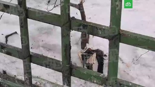 �������� ������� ���� ���������������� ����� ��� � Porsche, �� ����� ������������ ��� �����