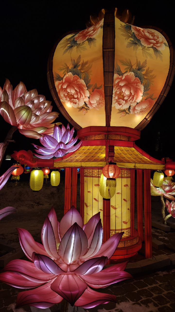 В Петербурге готовятся к наступлению китайского Нового года В Петербурге готовятся к наступлению китайского Нового года