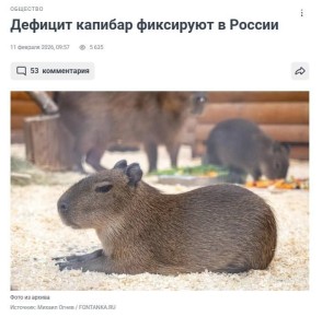 ������� ������� � ����������� ������� �� ���: ��� �� � �����