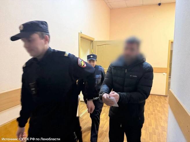 «Самурая» из Выборга отправили под арест из-за фатального удара катаной