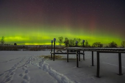 ������������ �������� ������ ������� ���� ��� �����������