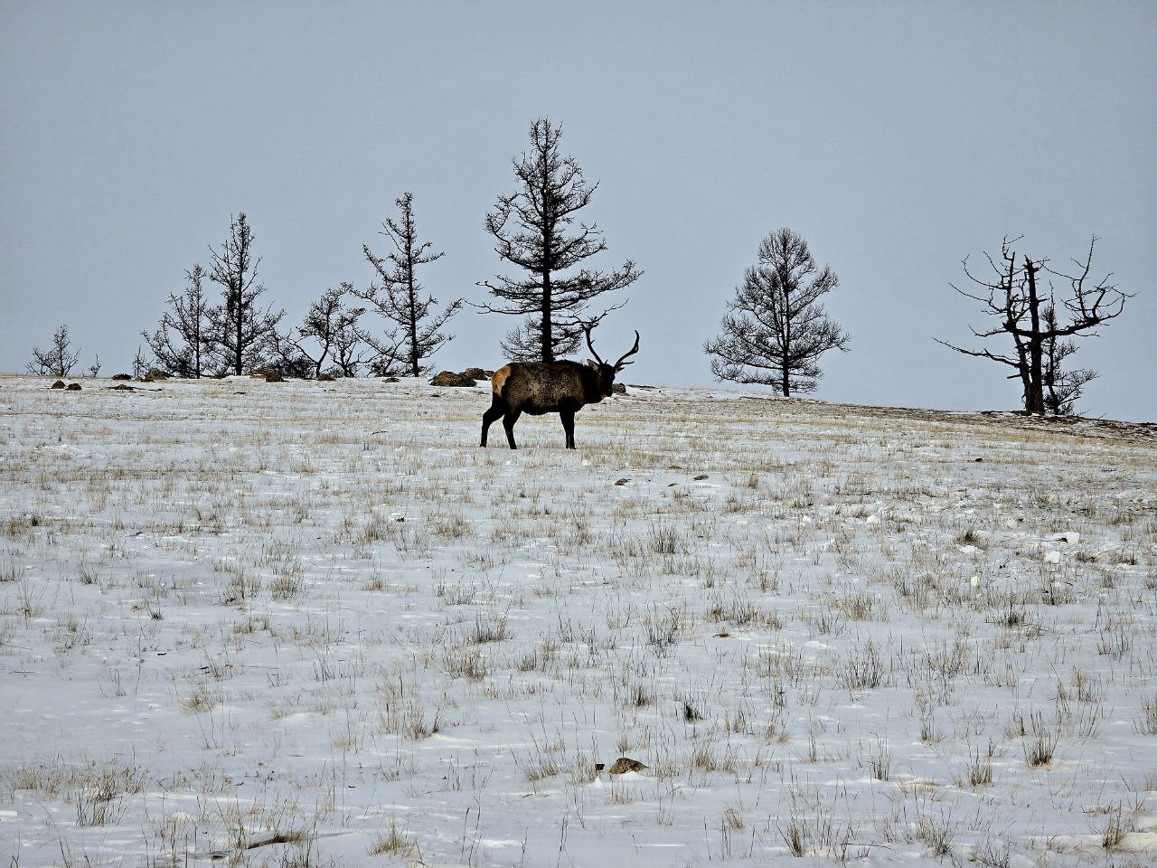 Сергей Колясников: По пути выдернули здоровенный джип, попавший в промоину Сергей Колясников: По пути выдернули здоровенный джип, попавший в промоину