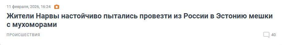 Дефицит капибар в Сестрорецке смотрит на нас: это не к добру Дефицит капибар в Сестрорецке смотрит на нас: это не к добру