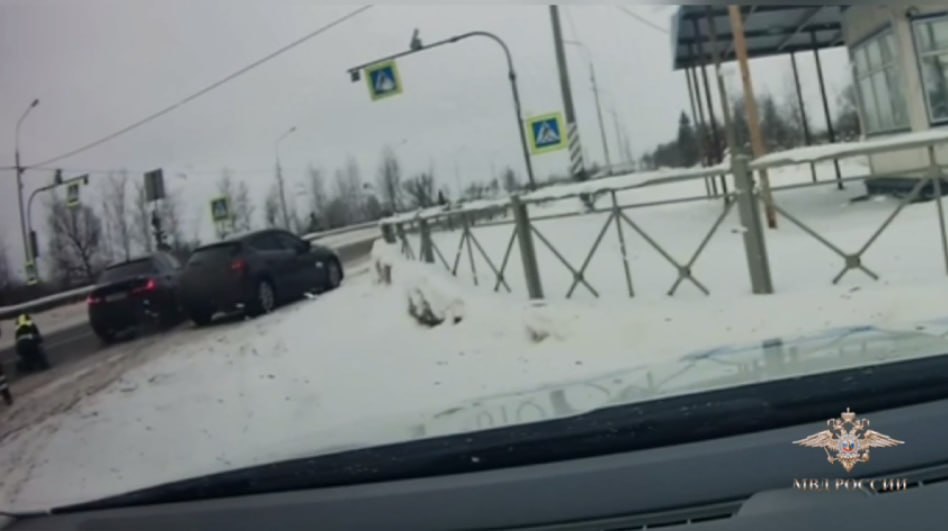 Наркодилер сбил полицейского и попытался избавиться от улик во время задержания в Ленинградской области