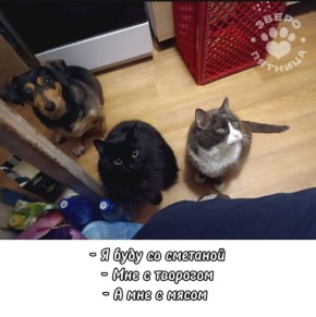 ������� ���������� ����������� ������