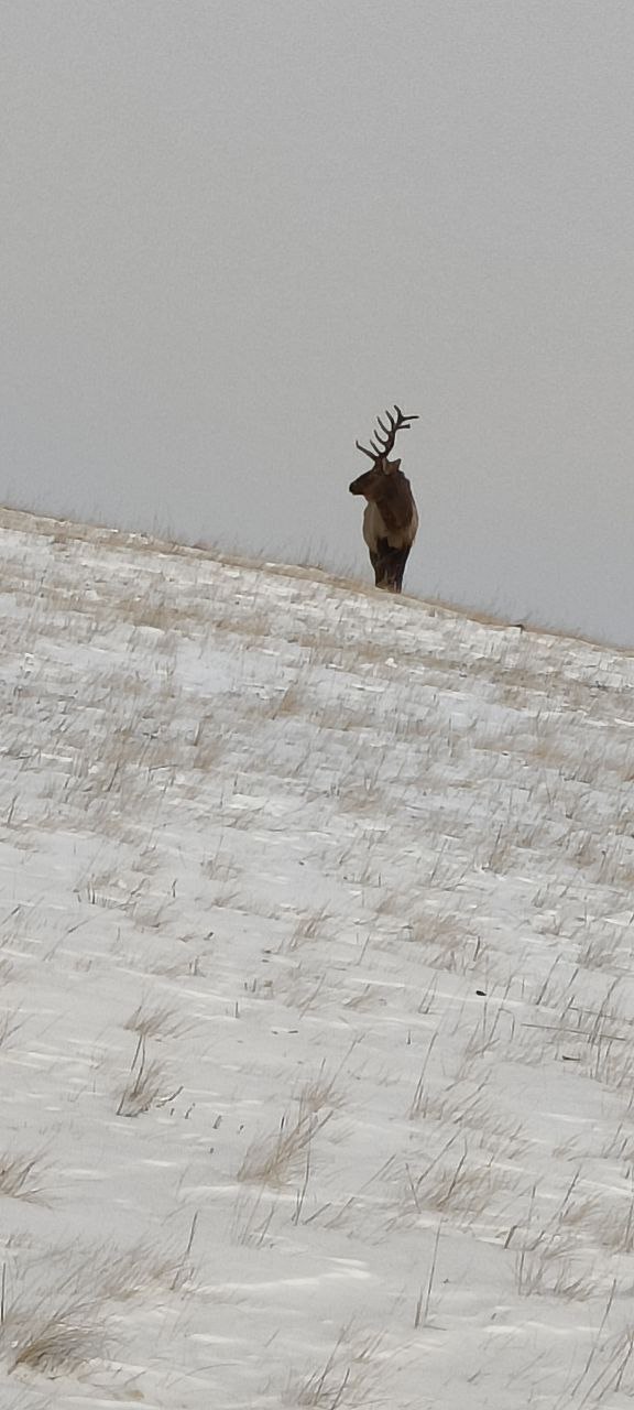 Сергей Колясников: По пути выдернули здоровенный джип, попавший в промоину Сергей Колясников: По пути выдернули здоровенный джип, попавший в промоину