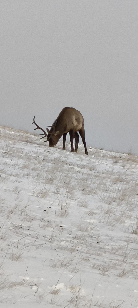 Сергей Колясников: По пути выдернули здоровенный джип, попавший в промоину Сергей Колясников: По пути выдернули здоровенный джип, попавший в промоину