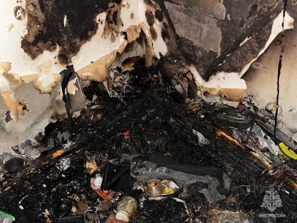 ������� � ������� ����� �������� ������ 36-������� �������