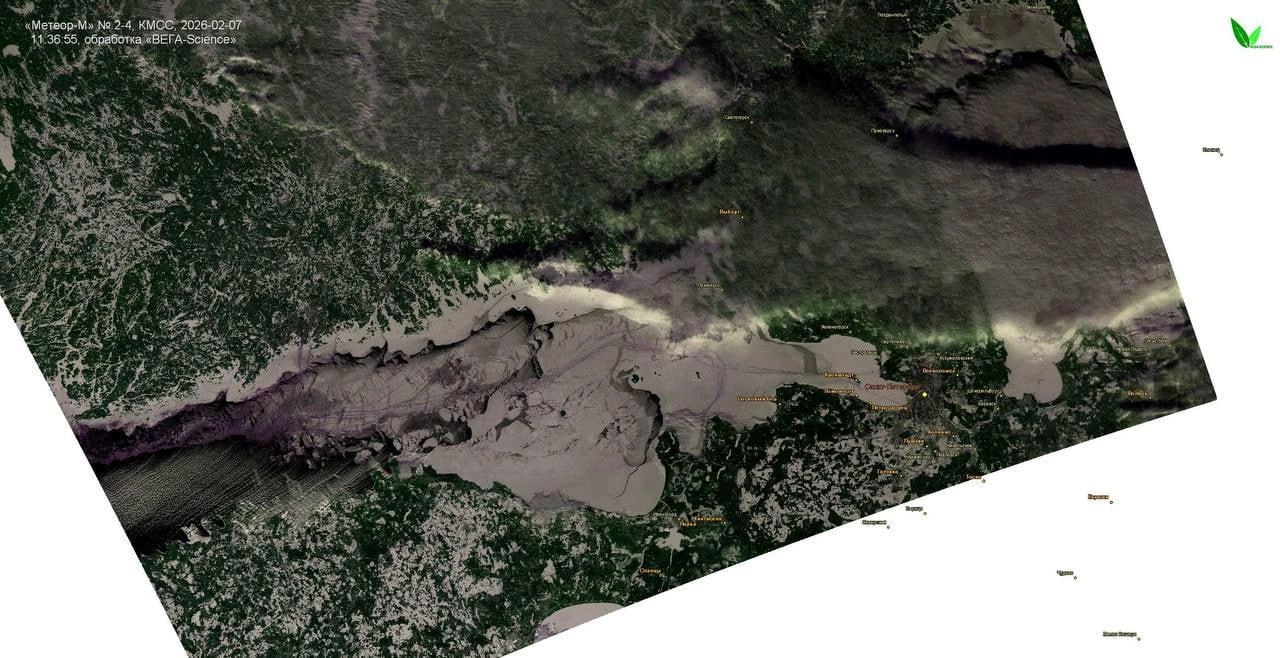 Финский залив сковало льдом — такого не случалось больше 10 лет Финский залив сковало льдом — такого не случалось больше 10 лет