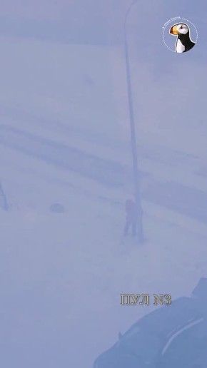 ��� ��� ������� ������ ������� ���������� �� ������