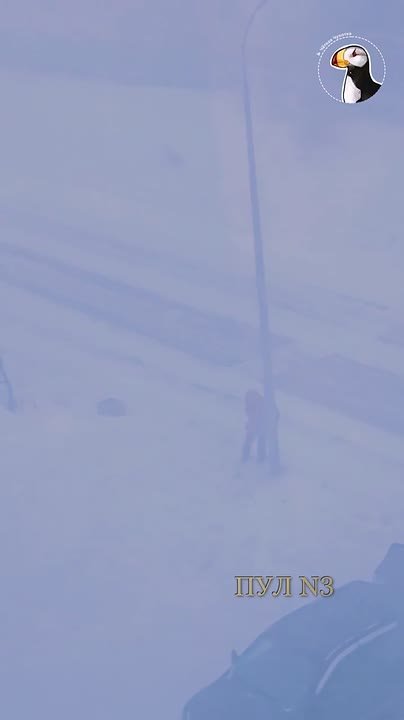 Вот так сегодня жители Анадыря добираются на работу