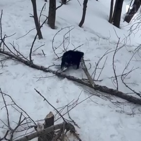 ���� ����� ��������� ����� ����� � �������� �� �� ׸���� ����� � ������������� �������� ������� ������� ���� ����������