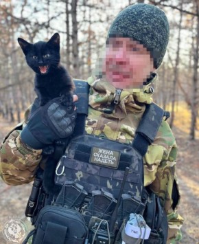 Два майора: Рубрика «Будни солдата»