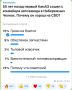 Александр Коц: 72 процента подписчиков считают, что КАМАЗ хорош тем, что он родом из СССР