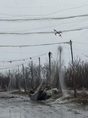 ������� ������ ��� ��� �� ������� �������������� - ���������