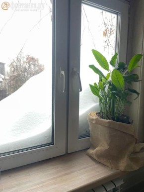 ������ ������� �������� ������, ����� ����� ����� ��������� ���������� � �������������