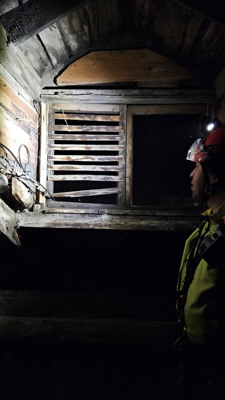 Сотрудники «Кошкиспаса» помогли кошке, застрявшей на карнизе в Сланцах Сотрудники «Кошкиспаса» помогли кошке, застрявшей на карнизе в Сланцах