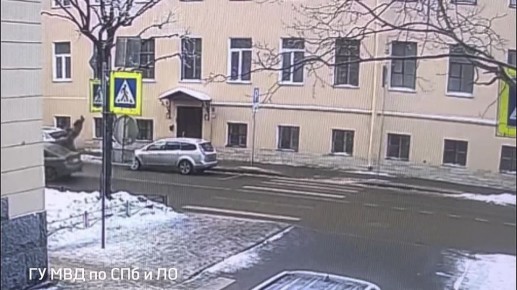 Пенсионерку подбросило в воздух авто на пешеходном переходе по улице Красного Курсанта