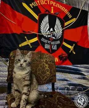 ��� ������: ������� ������ �������