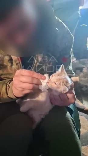 ��� ������: ����� - ������, � ���� �� ����������