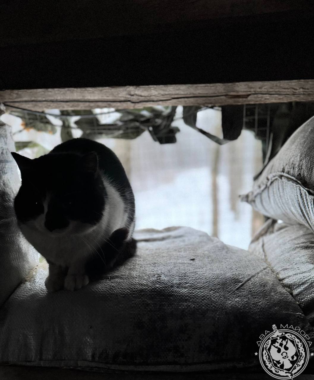 Два майора: Рубрика «Будни солдата» Два майора: Рубрика «Будни солдата»