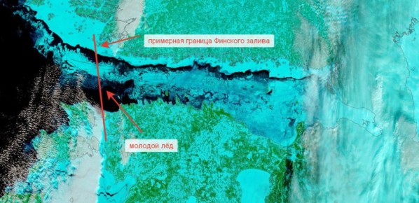 ������� ����� ������ ������� �� 15 ���