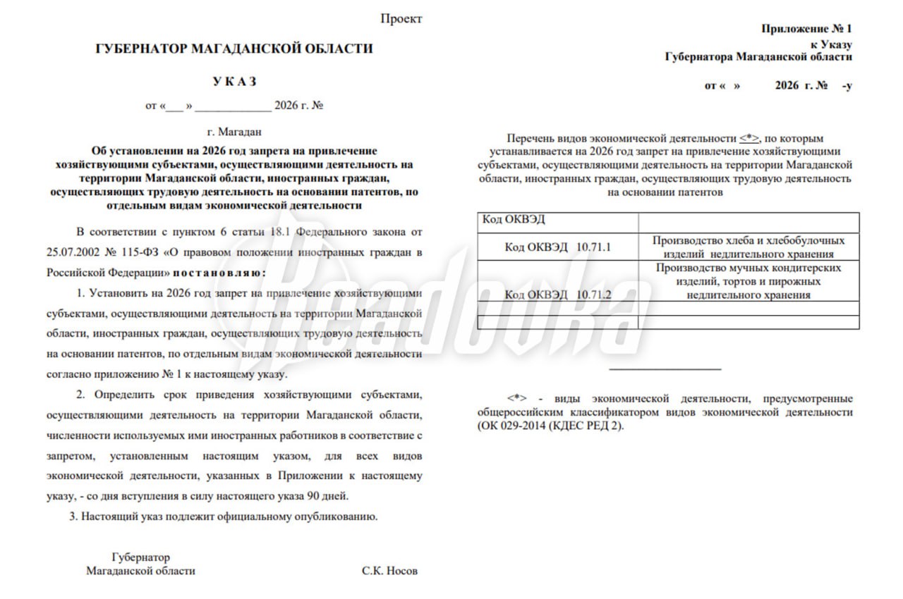 Магадан ограничит участие мигрантов в производстве хлеба и мучных кондитерских изделий