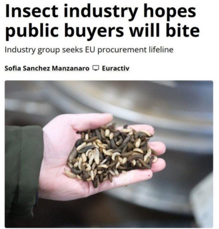 Михаил Онуфриенко: EC может ввести обязательные госзакупки еды из насекомых, чтобы поддержать её производителей, страдающих от недостатка добровольного спроса на эту продукцию у несознательных европейских потребителей