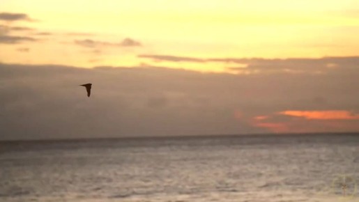 ������� �� ������� ����� ��