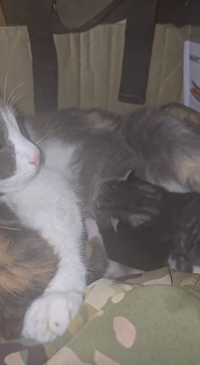 ������ �� ����: ���� � ��� � ���� ����