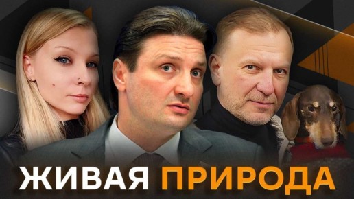 "����� �������" � �������� ��������