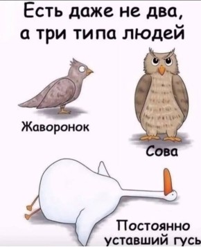 Михаил Онуфриенко: Когда я хочу поднять себе настроение - захожу на канал моего друга Николы Саваничи