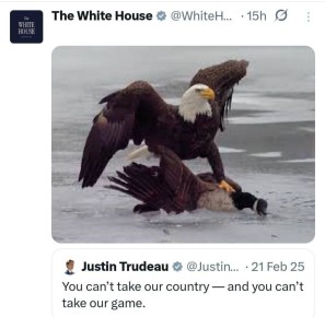 ���� ����: � ����� ��� ����� ������. ����� ��������� ������ ������� ��� �� ������ ��� ������� � ������ ��������� ������������� ������ ������, ��� �������� ������������ ������������