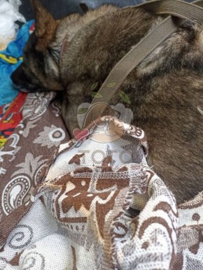 ��������, ������������ �� ����� �� ����������� ����� ������, �������� ������ ����� �����