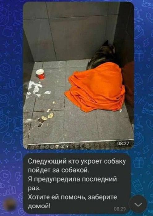 «Следующий кто укроет собаку пойдет за собакой» «Следующий кто укроет собаку пойдет за собакой»