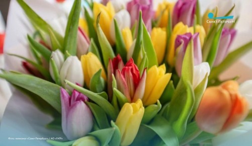 ����������� �������� � ������� 6 ����� ������ �� ������� � 8 �����